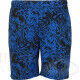 FZ Forza Luton Shorts Olympian Blue